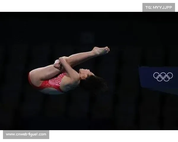 跳水裁判评分标准微调及动作完成质量要求提升分析