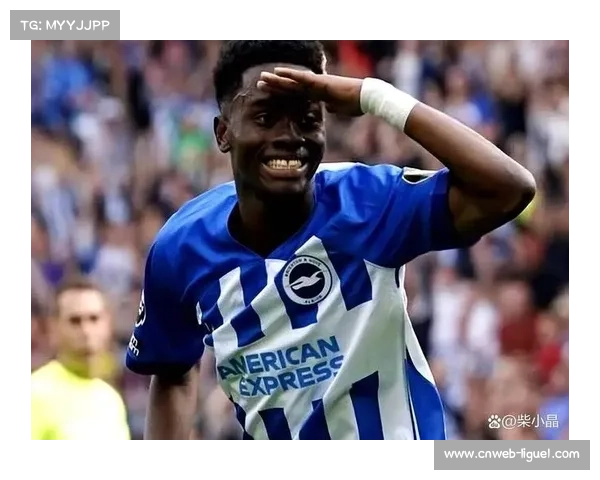 升班马桑德兰9轮斩获17分高居第二尽显黑马本色