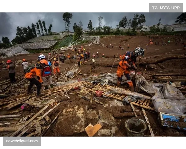 法甲试行新规：下赛季起替补席人数增加至15人